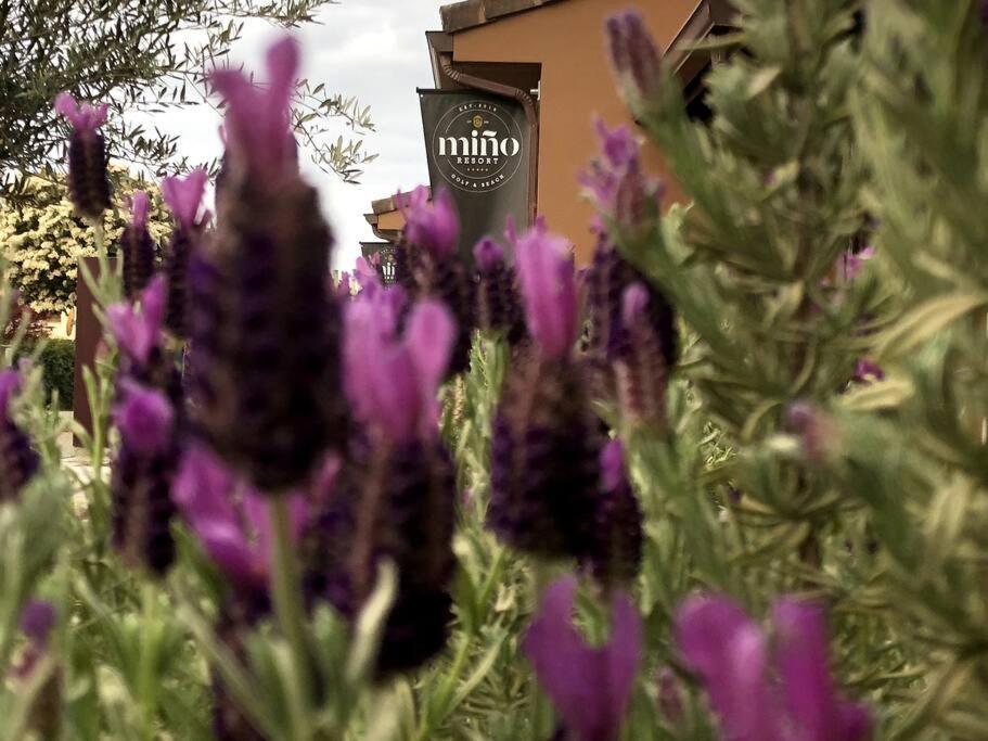 Yuhom, Casas Con Alma. Xacedos 3 Vila Mino Exterior foto